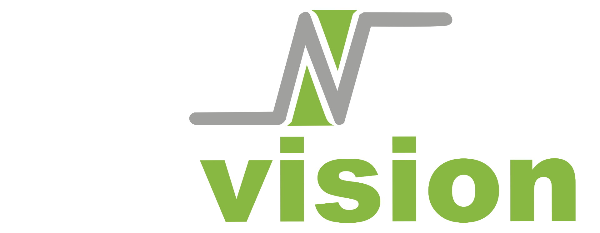 AsiaVision Group logo